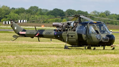 Westland Scout AH1 photo